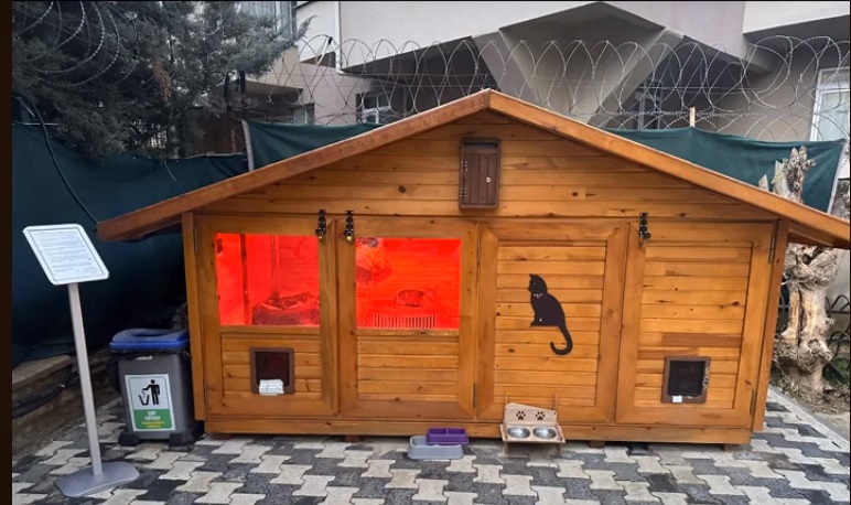 Sitemizin sevimli dostlarının artık bir evi var...